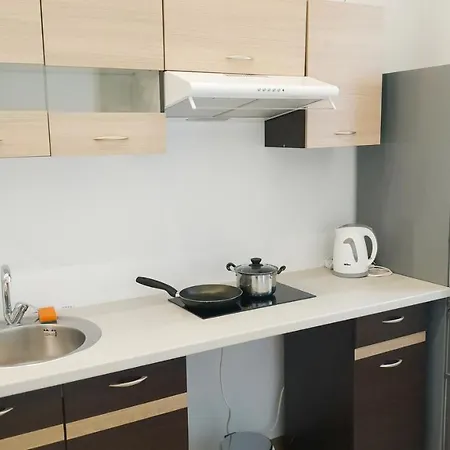 City Center Rent With Free Parking Nr.229 דירה *